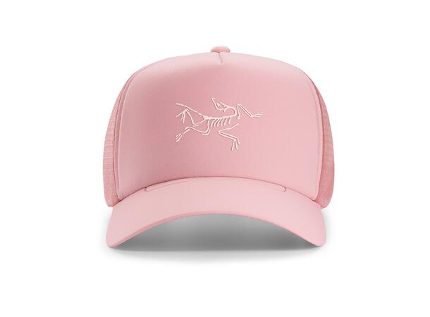 Arc'teryx Bird Trucker Curved Bliss