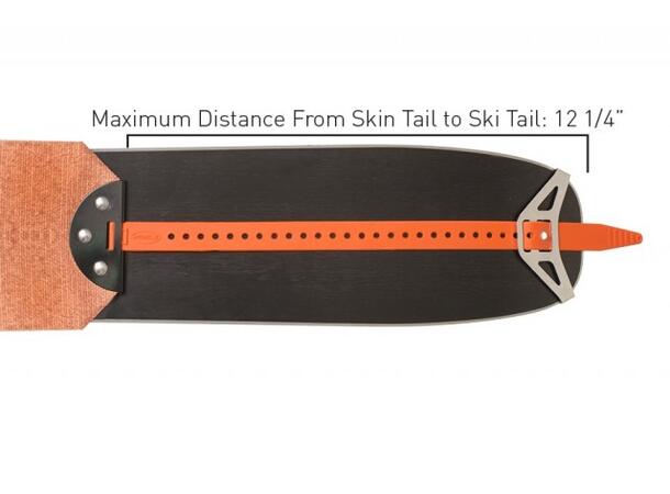 Ski Skins Tail Clip Kit 3090-TC-N